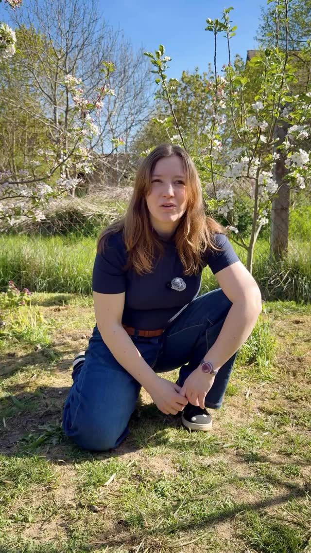 In diesem Format zeigen wir euch/Ihnen jeden Sonntag ein Unterstützervideo! 
Wir wollen Menschen aus dem ganz normalen Leben zeigen, die Thomas Kresse unterstützen! 
Schaut selbst!