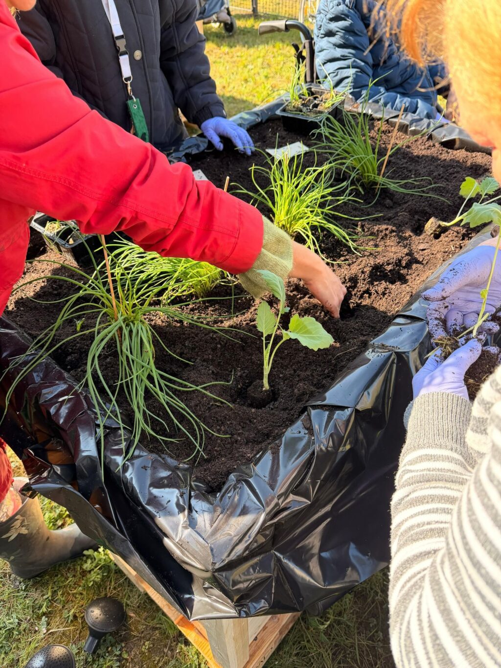 In den letzten Tagen hab ich das Pflegekompetenzzentrum ‚Schwester Agnes‘ in Neuruppin besucht und begleitete dort den offiziellen Start der ‚Ackerpause‘. 

Die ‚Ackerpause‘ ist ein präventives Projekt für Bewohner von Pflegeeinrichtungen. Es geht um gemeinsame Aktionen rund um das Thema ‚gärtnern‘ sowie um  psycho-soziale Gesundheit, kognitive Fähigkeiten und gesunde Ernährung. 

Das Pflegekompetenzzentrum ist ein starkes Projekt des Geschäftsführers, Thomas Schwarz, der auch die Marke ‚Frag-die-Luzie‘ aufgebaut hat. 

Aktuell leben im Pflegekompetenzzentrum Schwester Agnes 45 Seniorinnen und Senioren und neuerdings auch ein paar Hühner. Es handelt sich dabei bewusst nicht um ein stationäres Pflegeheim, sondern um eine ambulante Wohnform. 

Die Bewohnerinnen und Bewohner leben in ihren eigenen Wohnungen und erhalten ambulante Leistungen, vergleichbar mit der häuslichen Krankenpflege.

Der große Vorteil dieses Modells liegt in der Kombination aus Selbstständigkeit und Sicherheit: Es ist stets fachlich geschultes Personal vor Ort, das bei Bedarf schnell unterstützen kann, ohne den Charakter eines stationären Heims.

Der Besuch machte deutlich, wie wichtig moderne, flexible Wohn‑ und Pflegeformen für ein selbstbestimmtes Leben im Alter sind und welchen Stellenwert dabei persönliche Begegnungen und kleine gemeinschaftliche Aktivitäten haben.

Thomas Schwarz und Team haben hier richtig was aufgebaut und weiterhin viele Ideen, die ich mir anhören konnte! 

Meine Unterstützung ist euch sicher. Danke für diese wichtige Arbeit im Bereich der Seniorinnen und Senioren!